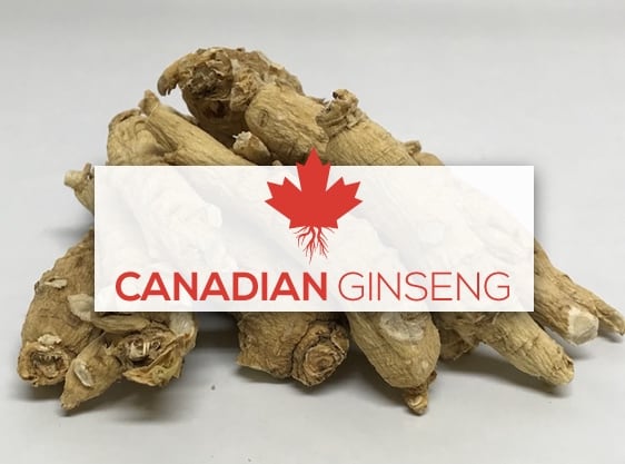 Canadian Ginseng & Giftworks Logo