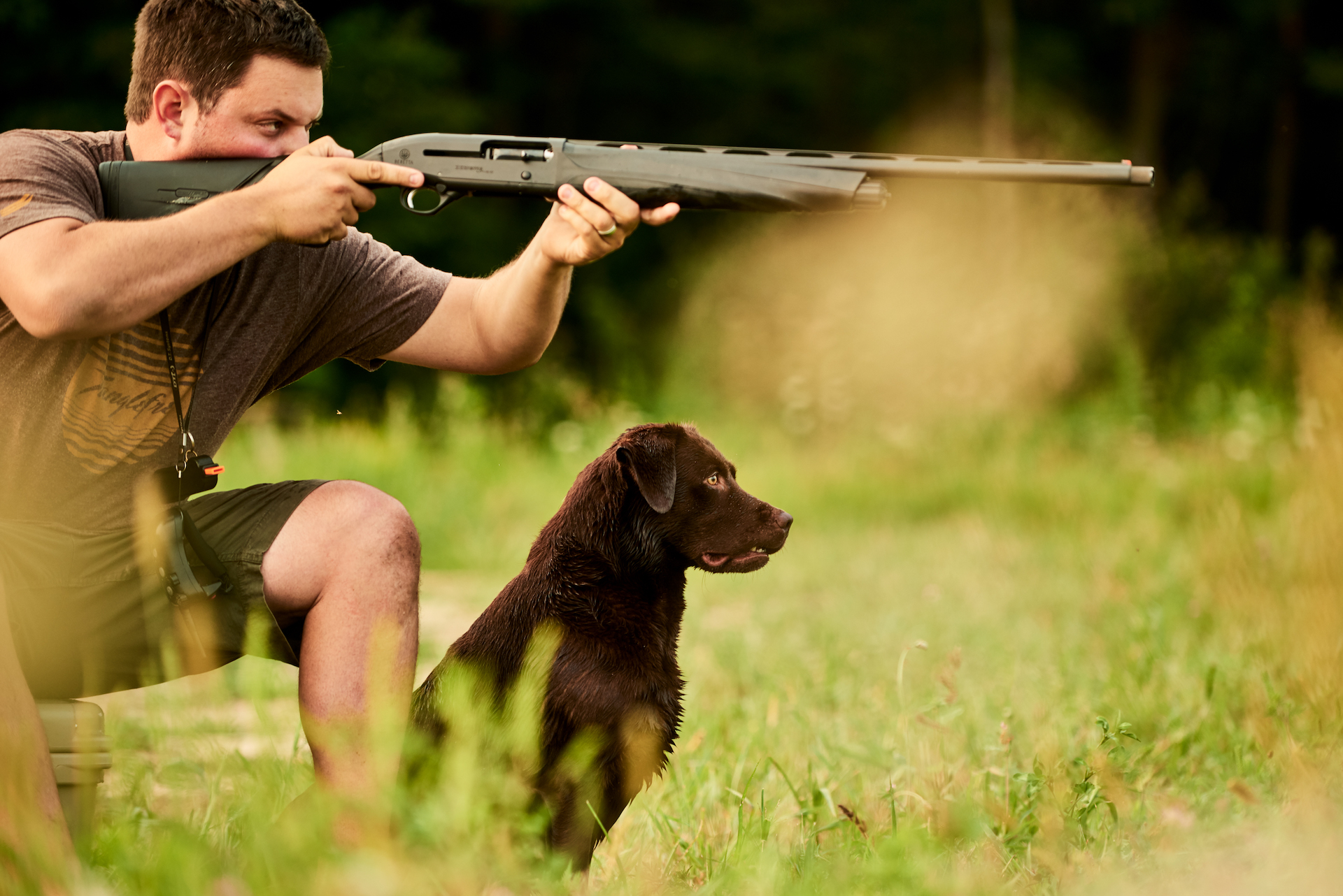 Gun Dog Labrador Retriever Training